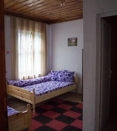 Izerovi Guest house *