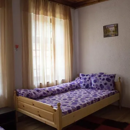 Izerovi Guest house *